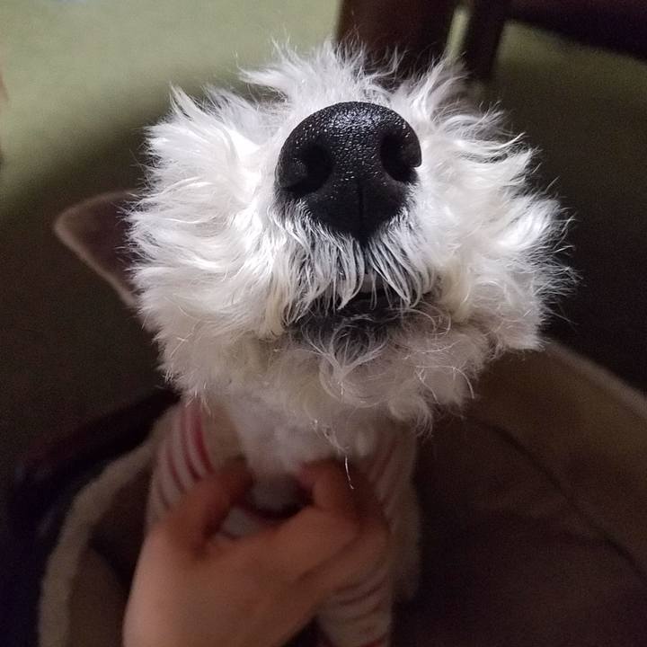 95fd3bfc 6fb2 422c 805e d35eae9b42e2 1549033339481