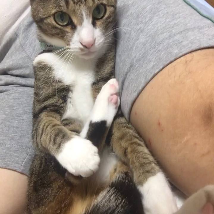 95fd439b 5b88 4812 a2ed 7eccae4f5365 1696115263995