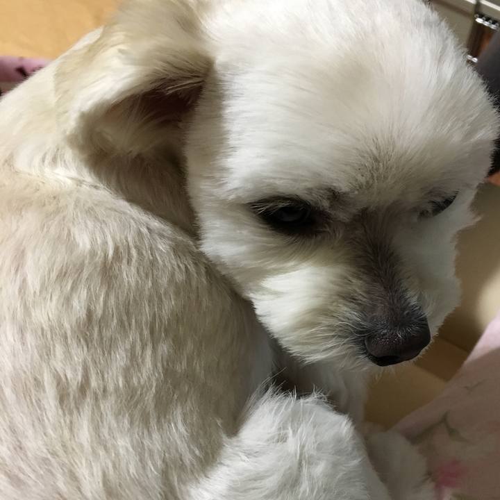 95fd5fff 3b16 420a 81a7 4ed8e4a209e9 1511440507475