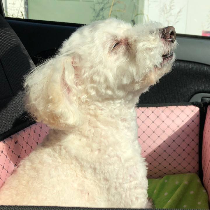 95fd72f1 1833 46b5 8c97 56fae036e751 1541765441142