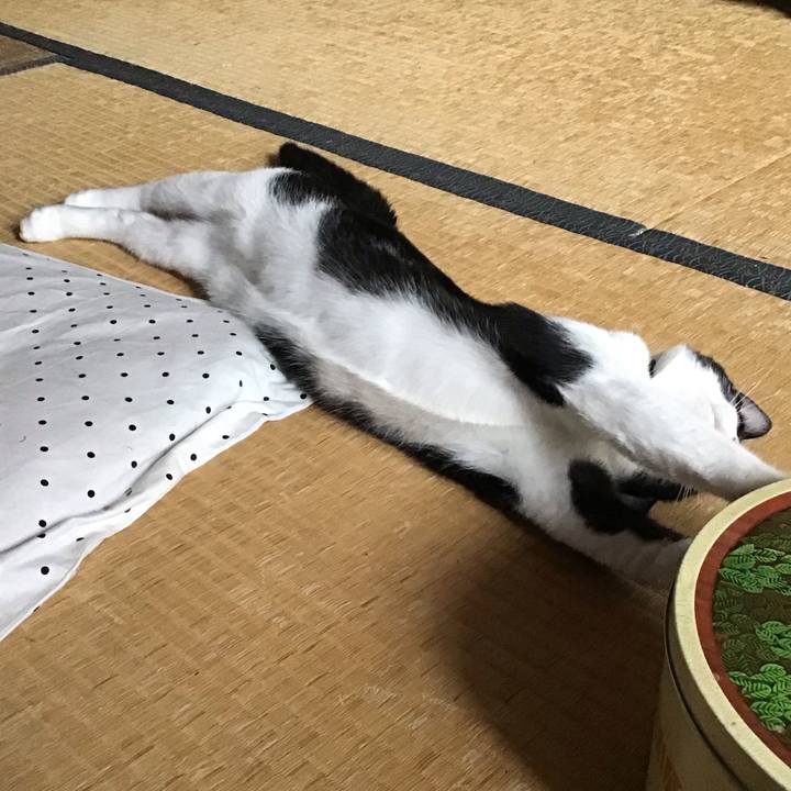 95fd761f b8af 421a a6fd 3563c63ebc57 1630290993920