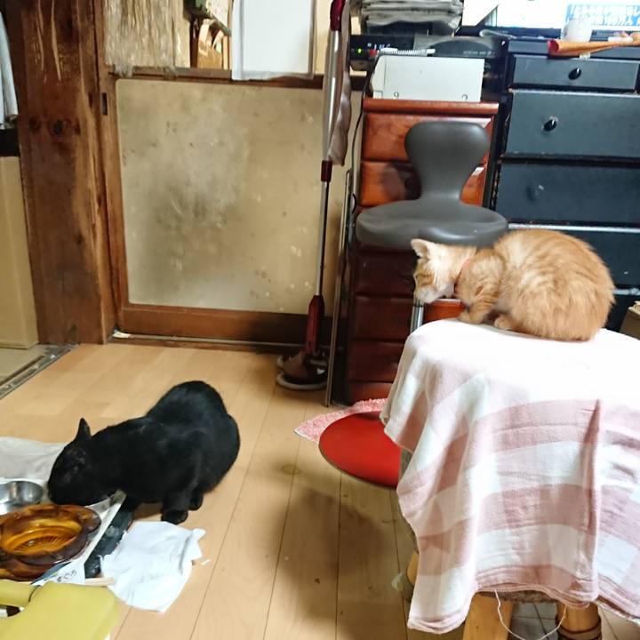 95fd7620 e1a5 4e19 8293 70e5e98caf18 1629549095664