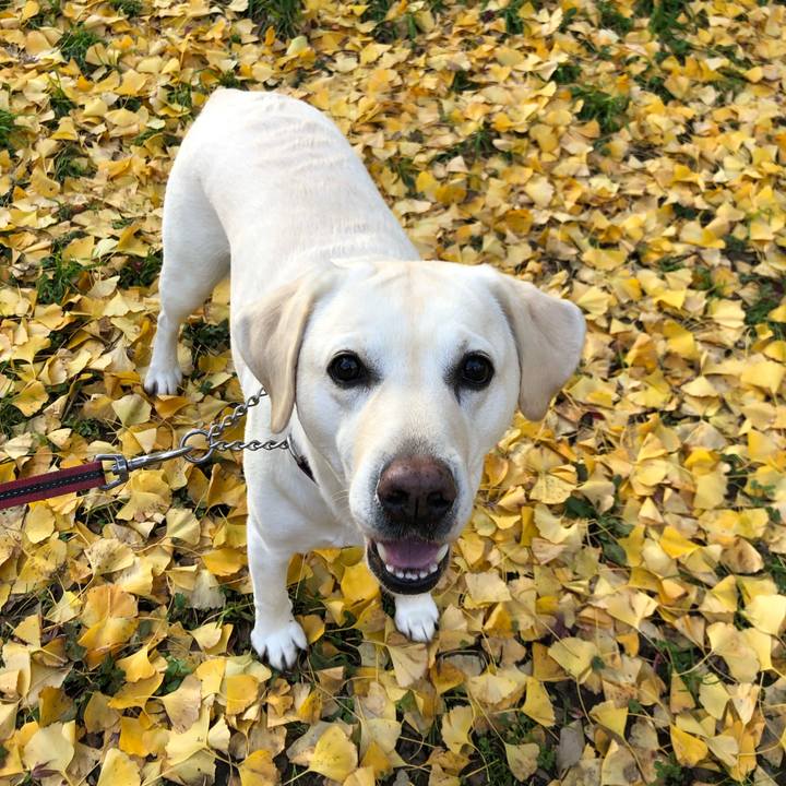 95fd8e2f a1a8 4da7 93e2 2b3f1c8caab3 1639311099373