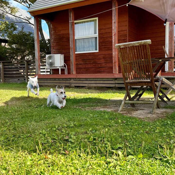 95fdd711 5f23 4382 933a 247698d33758 1697466020436