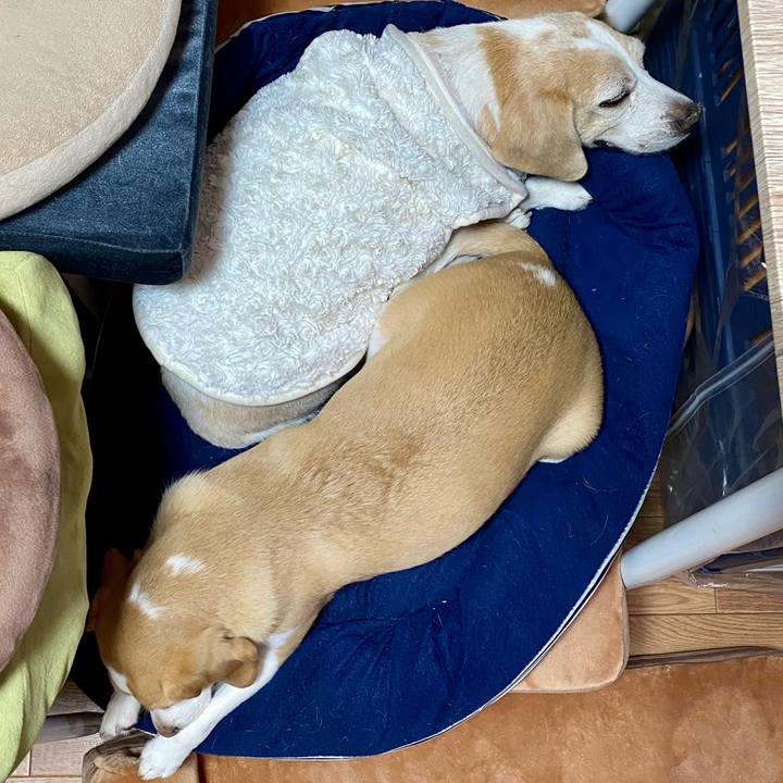 95fdeaca 55c5 4bd4 9423 9f7198501a75 1609987841879