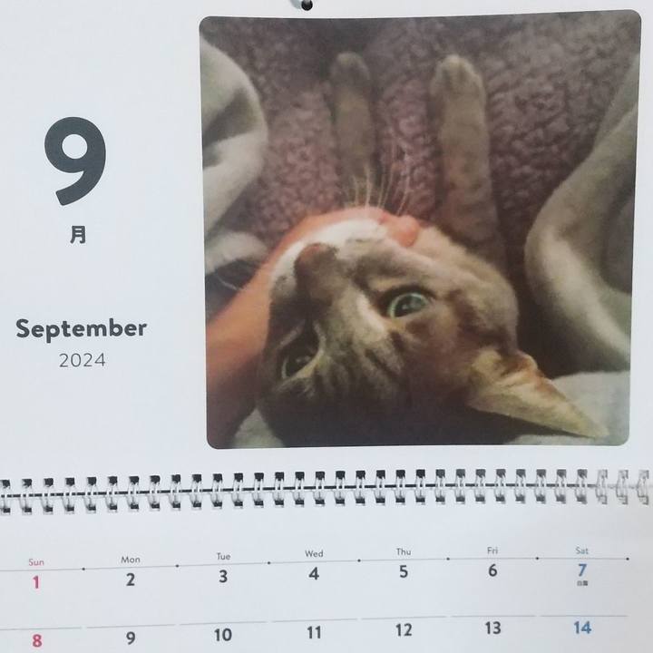 95fdf77c dd04 4911 bf03 6cd4601f0365 1725146696938