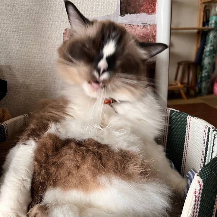 95fe5be7 0970 4306 8e9f 4175099c2cbc 1665894661303