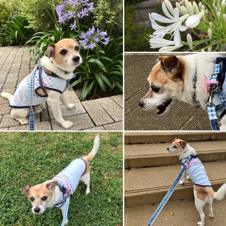 95fe6027 6fd7 4071 a428 7a8f376725e2 1624243508164