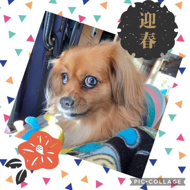 95fe8f91 c674 42ca 9aa1 50126301c900 1641005268631