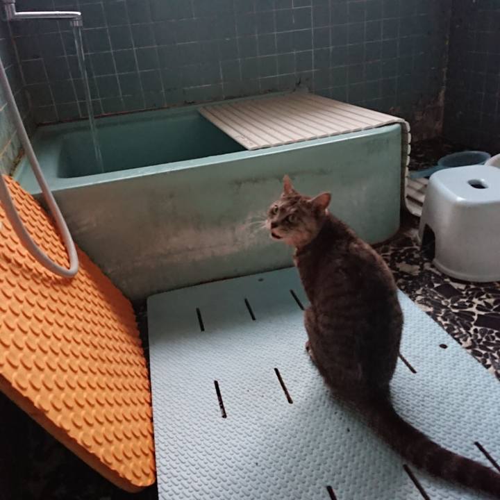 95fec3ef 6985 4db5 8bf1 237b7356b24c 1593251986938