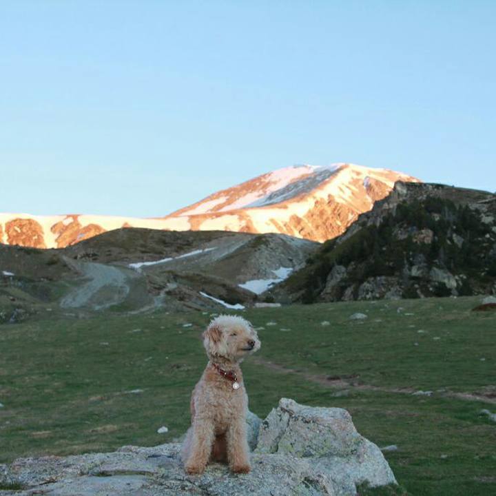 95feef77 cb19 4cc6 8f95 d7a08856c0fd 1560184817813