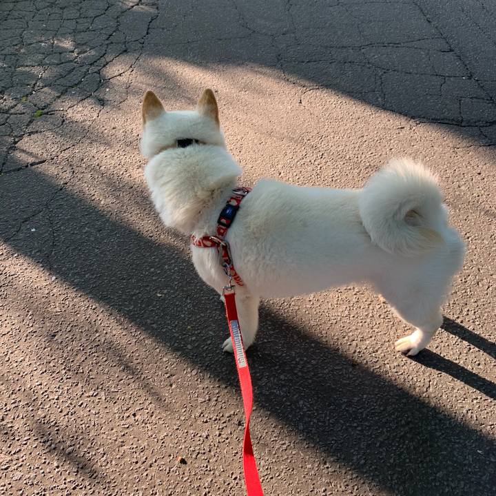 95feff60 2a3c 4f1b bf03 6801cf5ff3ca 1560202749258