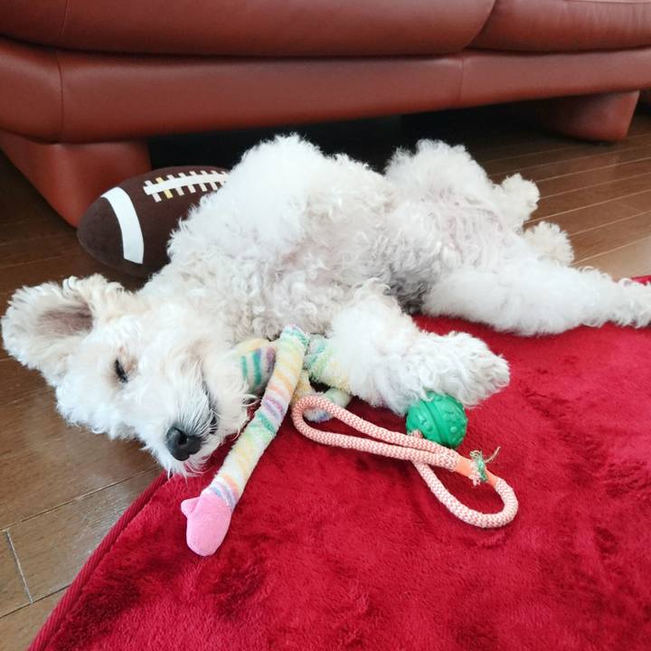 95ff0108 1936 493a aebd 546c4826963f 1527313272725