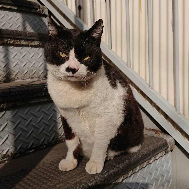 95ff0250 d504 46fc aab1 7c690bc268b7 1609032688028