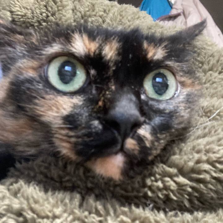 95ff05c7 45e7 47b4 80f5 3617d06b5885 1731123851917