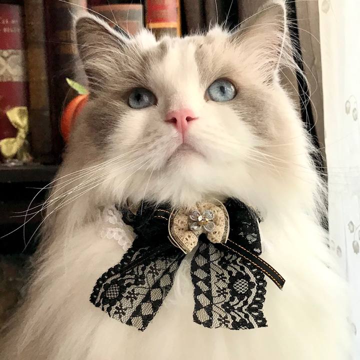 95ff14bc d5dc 4e1a b8b0 ac047fc8d649 1601194503900