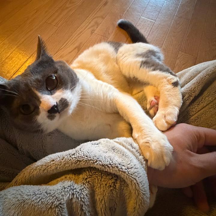 95ff2f7f bd4f 488d 9a84 38dd904b7922 1773358288706