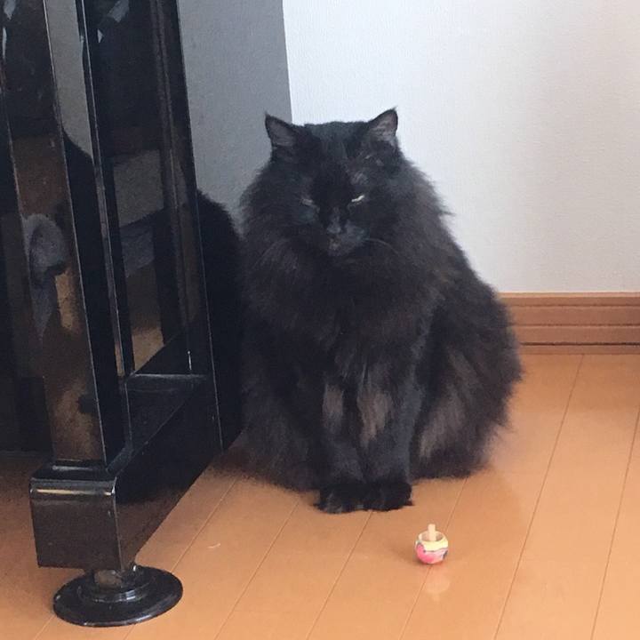 95ff308c 5a47 43fe b95b c94672ae289f 1548479892752