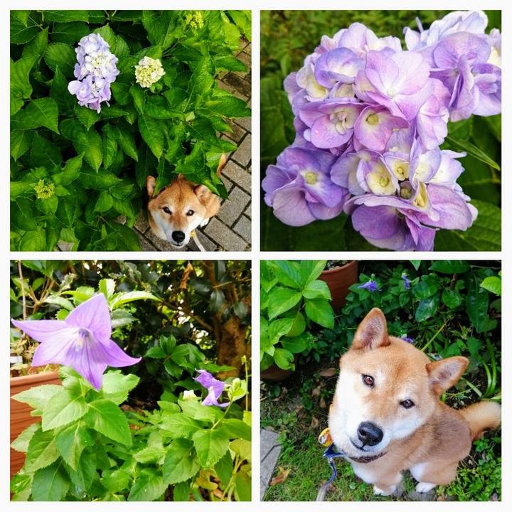 95ff419a 540c 49d6 a185 4f3b6c473cff 1593390339589