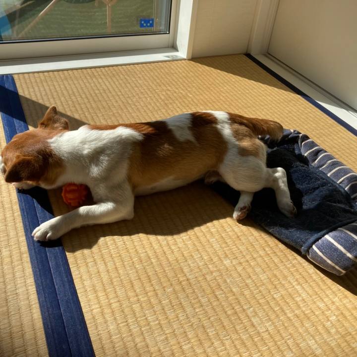 95ff4830 4c7e 4f6f 80cc 505ba1bc9ee4 1612841108894