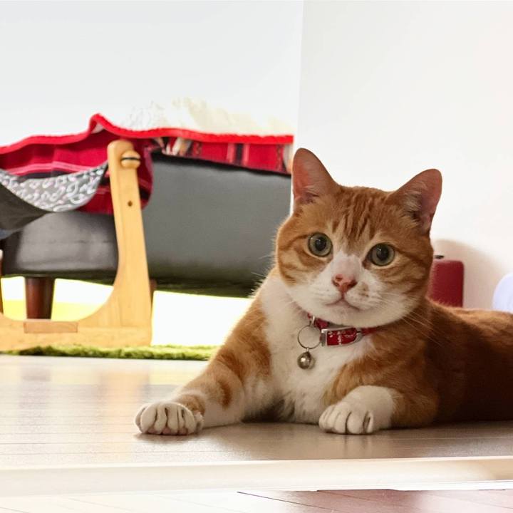 95ff4967 8b1d 4562 93bb 497d2e2d739a 1694542758550