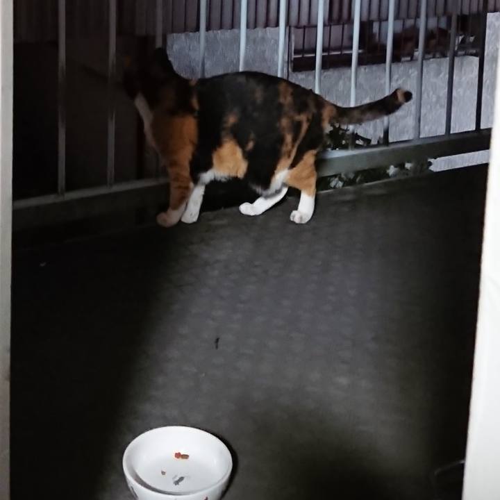 95ff669d d81c 4a13 b1b8 e61336dd2a05 1663768026669