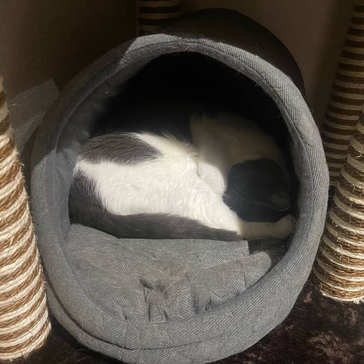 95ff99ec 8c9a 4673 a01b eb99c3102b8b 1673862150009