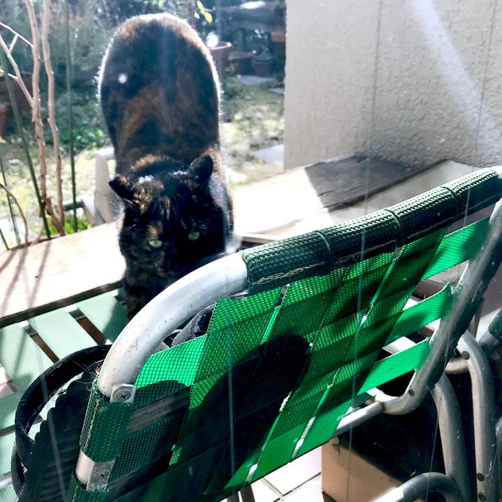 95ffaf99 480b 4f5e b989 0feb45e7447f 1549982055597