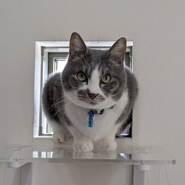 95ffbb5d 87e1 4c64 a336 c9f6074b4266 1772158328615