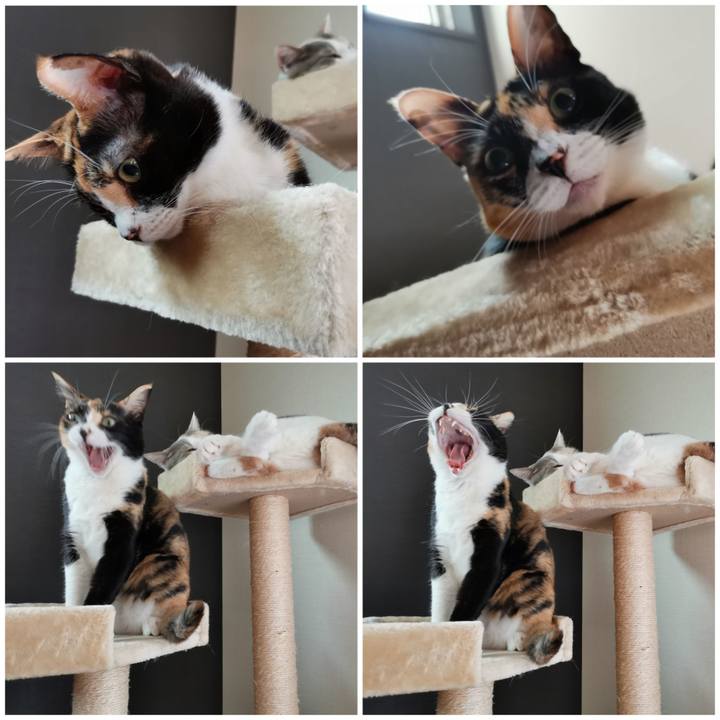 95ffc6a4 0804 4773 b3a2 f426fe483440 1655782683901