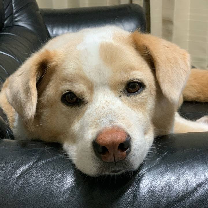 96001486 8859 43b8 b19d c9e9323bba04 1591974996359