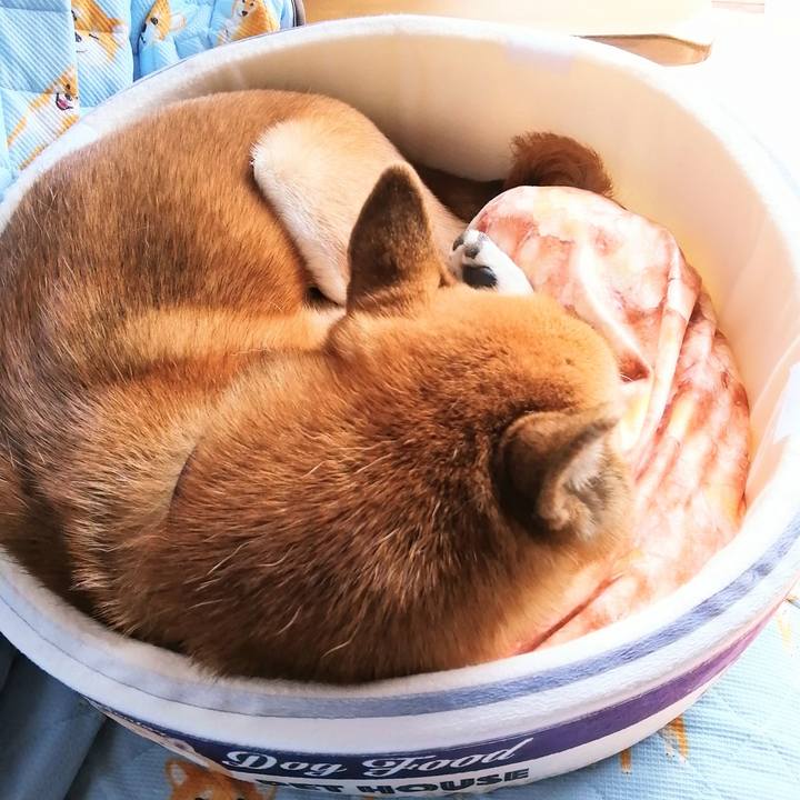 9600509b 2569 4239 9bad 4665cbed4b09 1605236474282