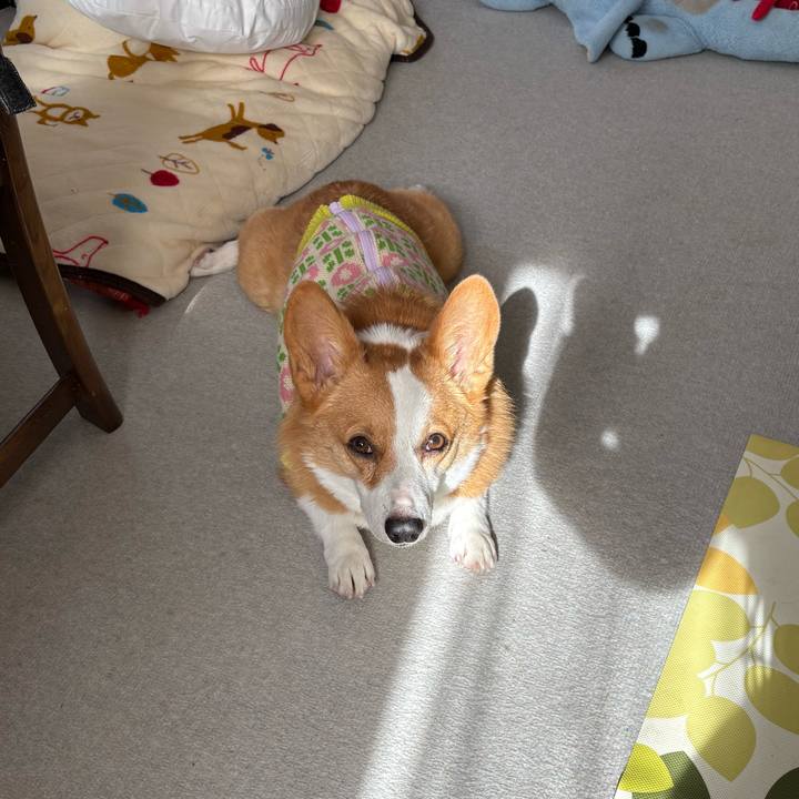 96008a3c 5172 4c81 b948 4cf8fcf72c56 1769480621766