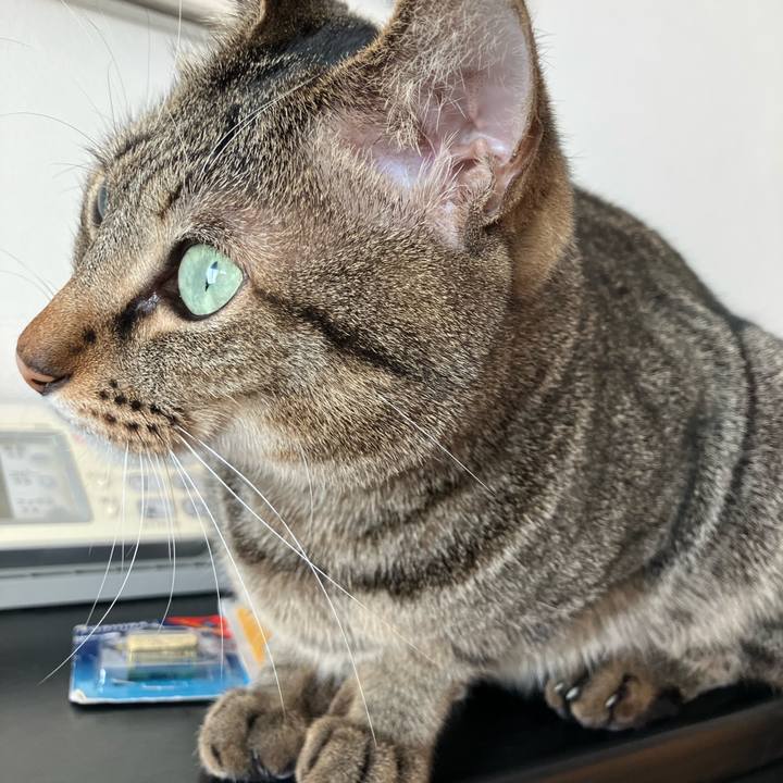 96008f95 56df 404d 97a5 2969e6baab5f 1762988411715