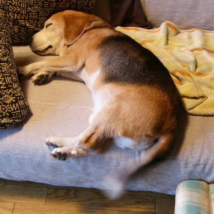 9600a82b 7b81 47fa 9e36 d4232cbbd835 1664673321641