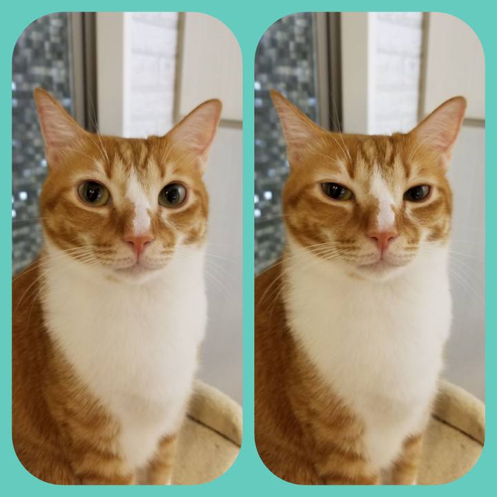 9600ada9 18a1 4b15 a236 753a4be1b2fe 1537205773426