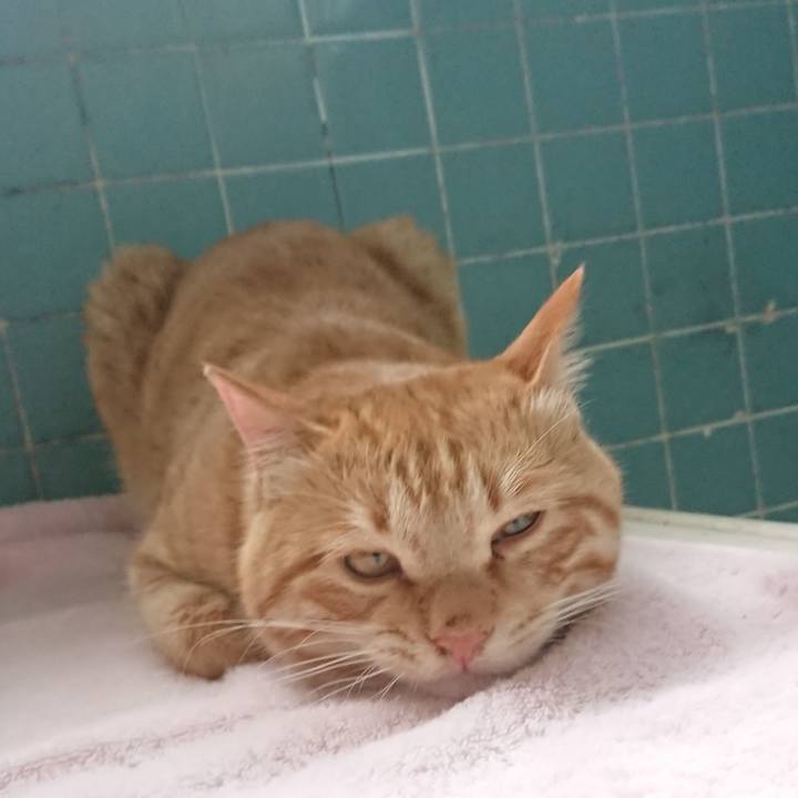 9600b512 250a 4f78 93a9 36df7a392009 1652345198864