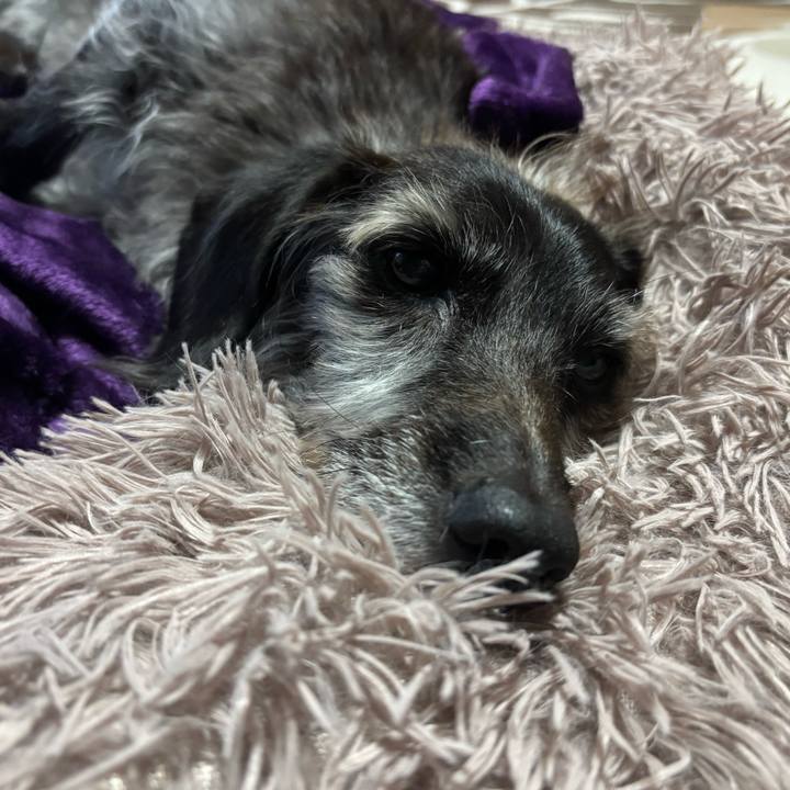 9600c1ea 2b7a 4ed3 b810 17d6284d0f81 1762730431871