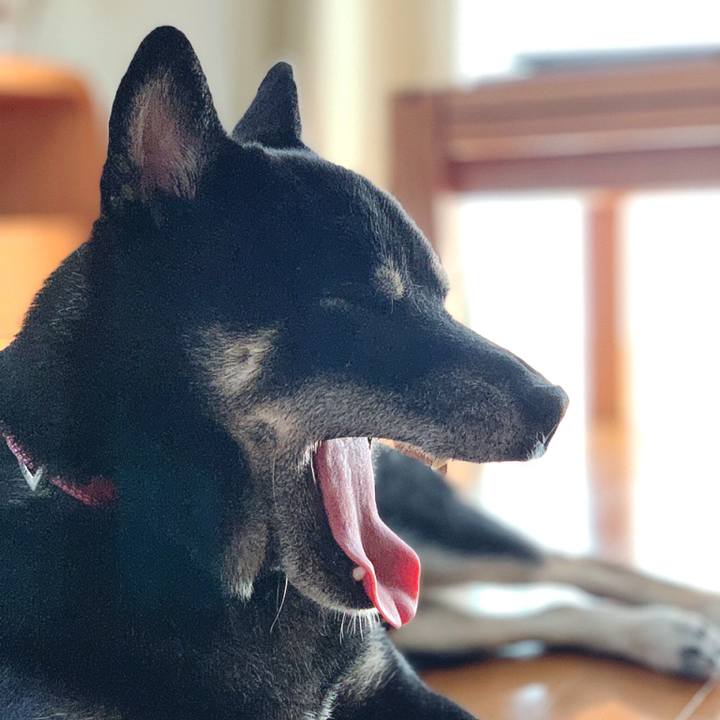 9600cd86 17e6 4622 8287 2fab94e96a75 1567394015886