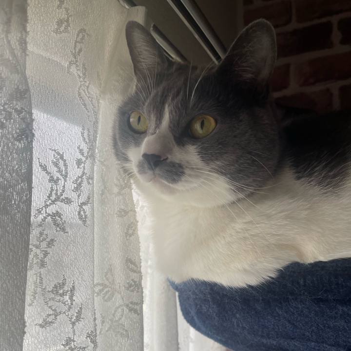 9600d20c c255 4ae2 a89a f71083398d5a 1696817727170