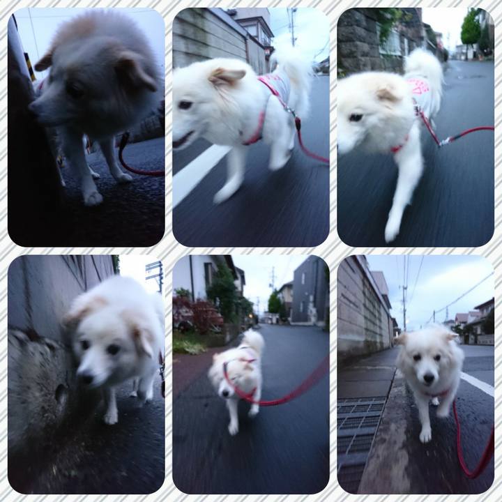 9600fd79 b22b 41ec 936d 27645d935cb3 1511387473207