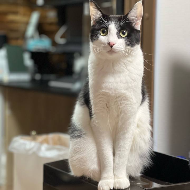 96010222 23c6 488a 9c1c 4e24cc25c22a 1641479464252