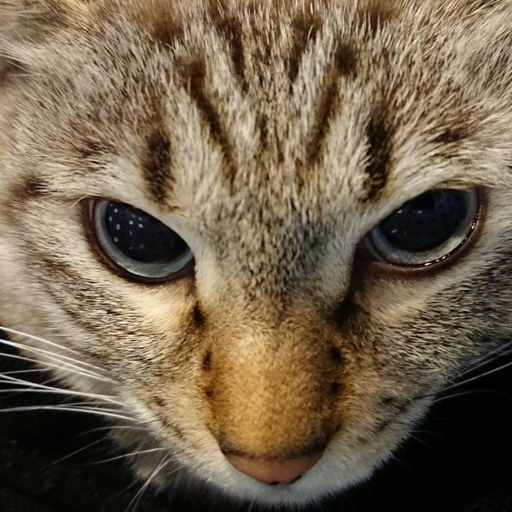 960133ba a5c6 45be b357 fb9769401b43 1518600837319