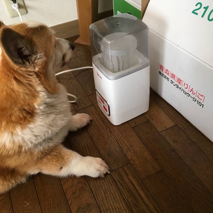 9601afb7 f552 4379 aa29 0d9a5f9af897 1545144405204