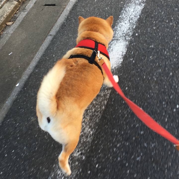 9601c066 9889 4301 a131 451e343f1dda 1602028785978