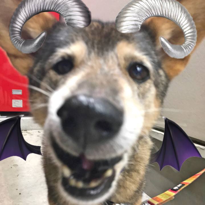 9601f45c d0be 41ec bb03 cfad799e18fe 1538049328855