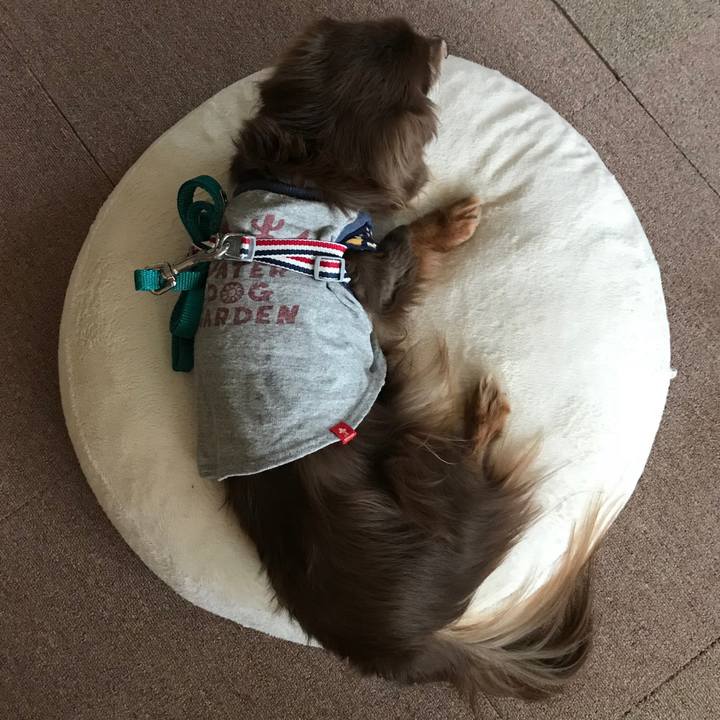 9602391e f125 48b8 b3f4 ea40a5790697 1520841254019