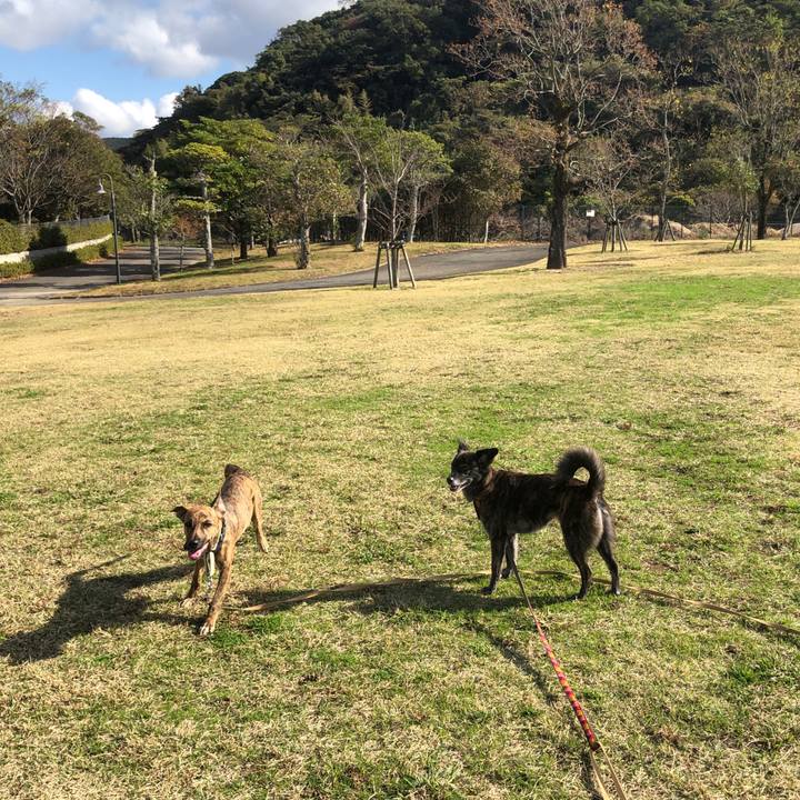 96027430 b229 4faf 8fe6 6b75c11bb5a1 1574931730231