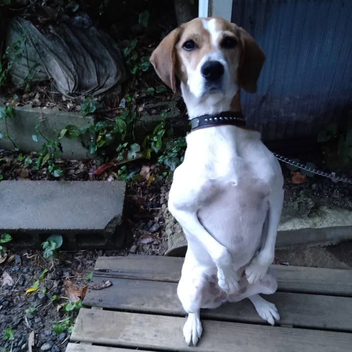 96029470 384a 4014 9fe2 9c26b0300483 1631871411554