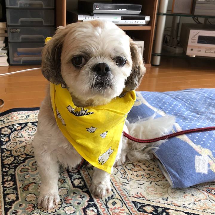 9602ab33 9902 4cda a48c bc9e5eea4734 1564875204385